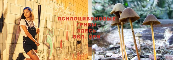 твердый Костерёво