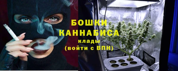 тгк Краснослободск