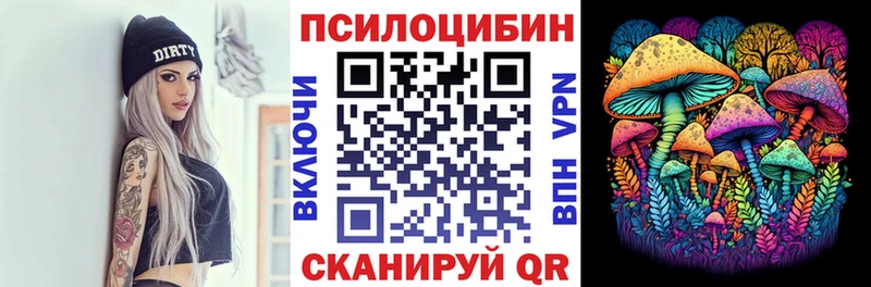 Псилоцибиновые грибы Psilocybine cubensis  Полярные Зори 